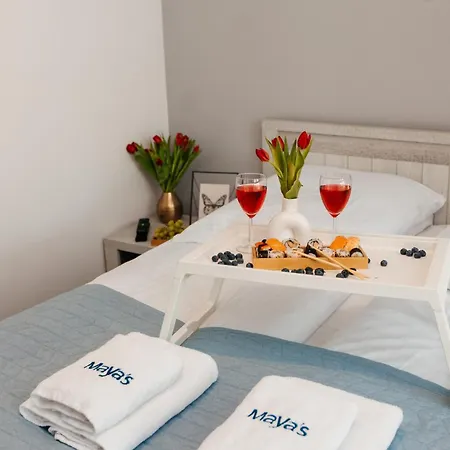 Maya'S Flats & Resorts 25 - Apartament Z Widokiem Bastion Walowa, Gdansk Exterior photo